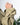 #color_khaki